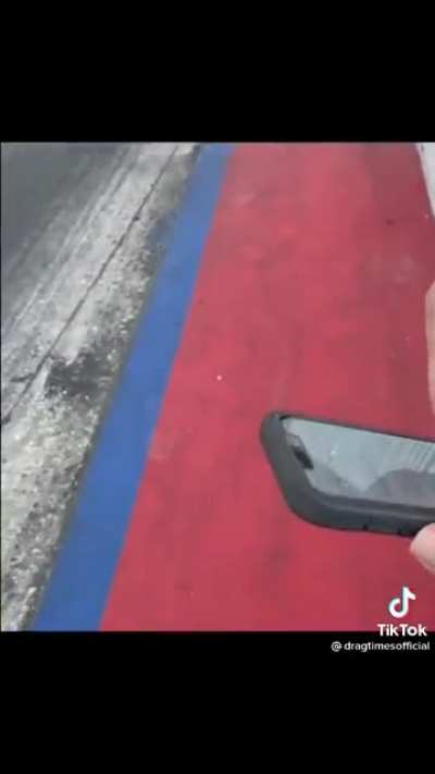 Taycan vs Plaid Tesla