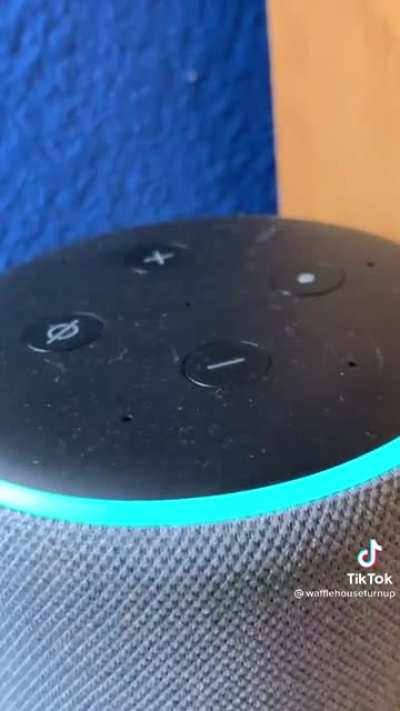 Alexa give me your panties