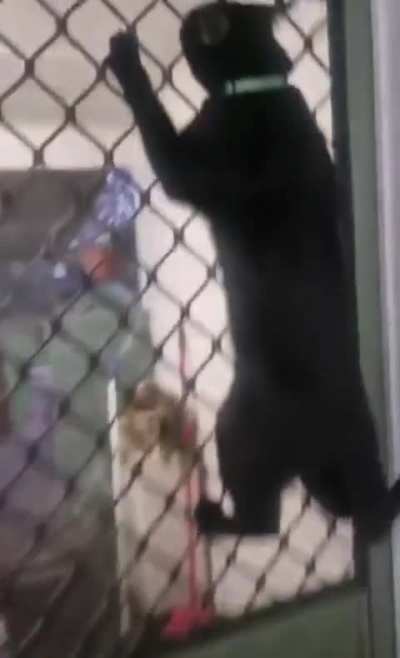 Let me out!
