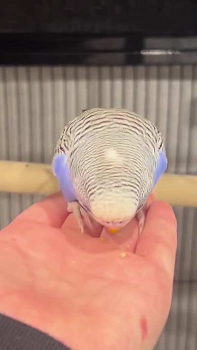 Is this good progress for day 5?