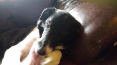 Greeting my deaf friend of 14 years after coming home from work