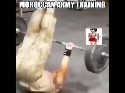🇩🇿🇩🇿🇩🇿🇩🇿💪💪💪💪💪