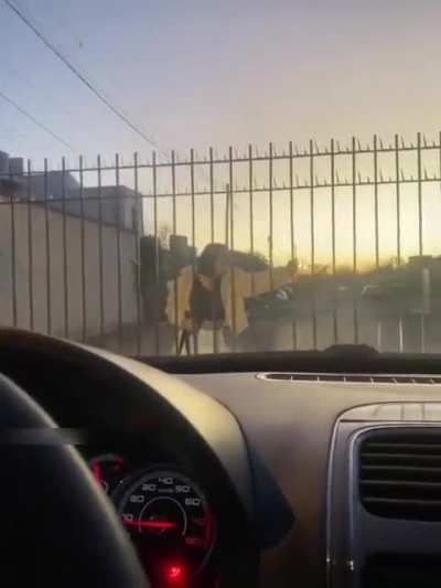 Open the gate