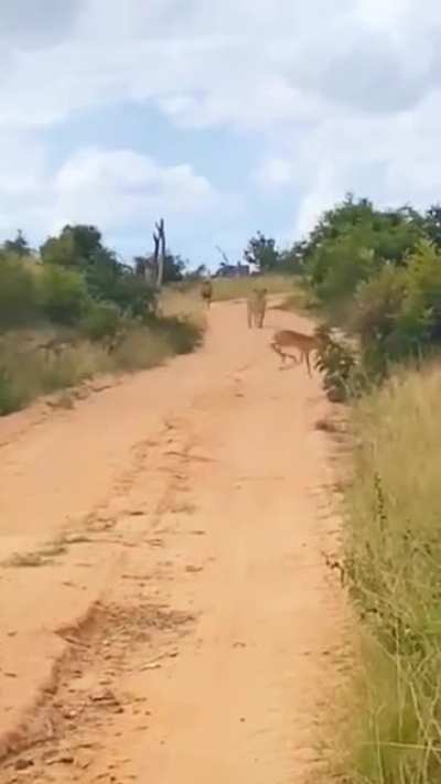 That was close