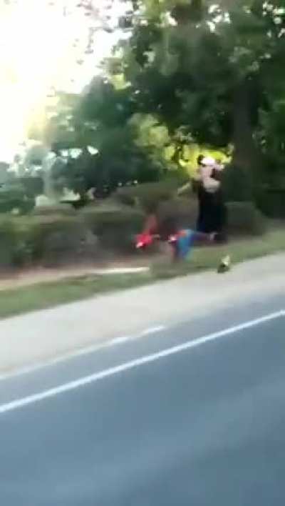 Blursed pet walking