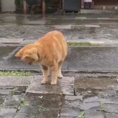 Rainy day.. 😊