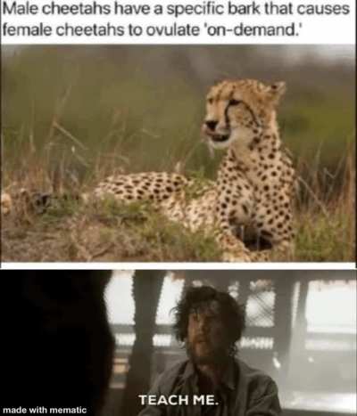 This power is even greater than I have imagined.