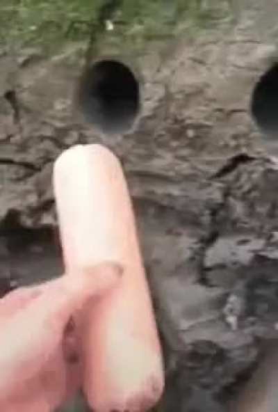 Я даже знать не хочу, что обитает в этой дырке