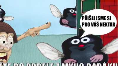 medn&iacute;k