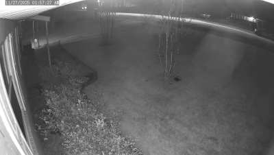 Someone hit my mailbox (2nd car)