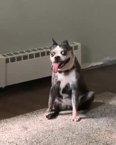 My friend thinks you&rsquo;re cute.