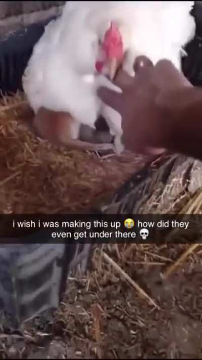 That&rsquo;s cute though
