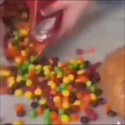 Midnight snack 