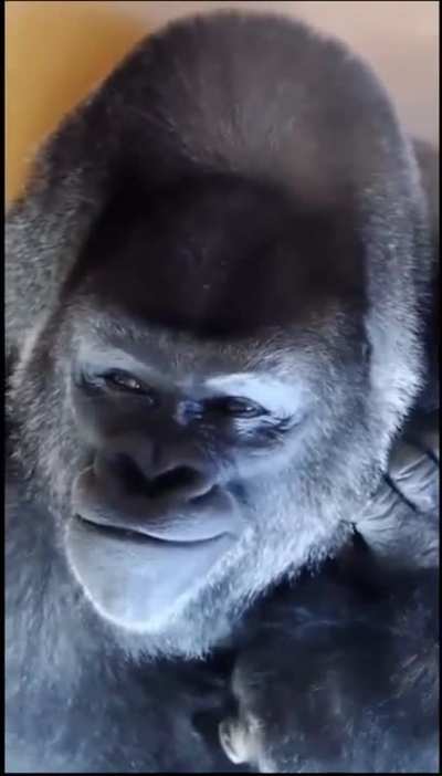 titans when they pop bubble on capture point