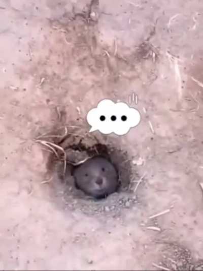 What&rsquo;s going on&hellip;..