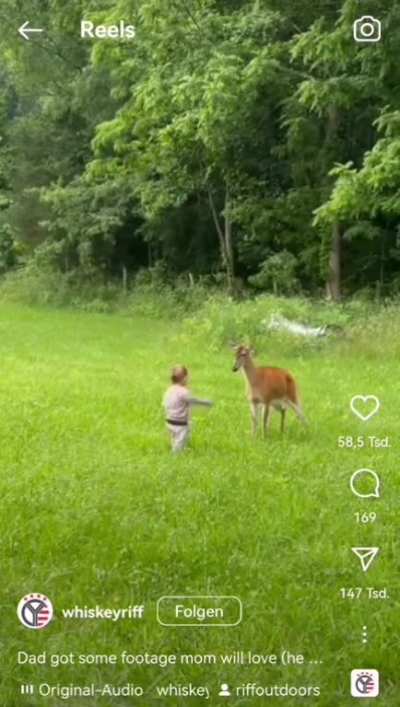 Cute deer... Or so