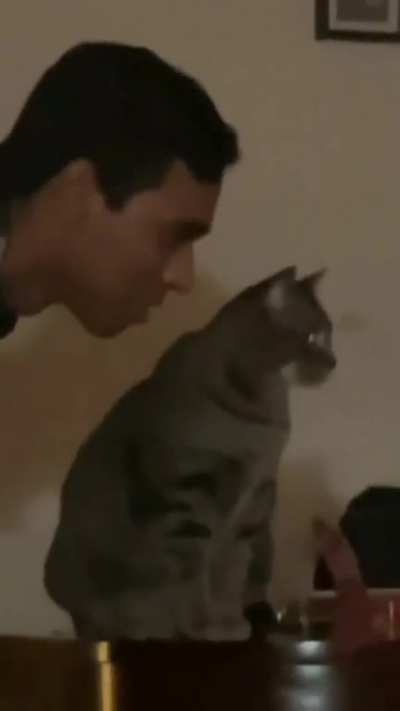 Kitty being watched