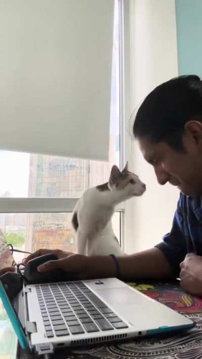 "do we have a problem, human?"😂😂
