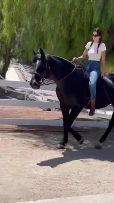 Horseback riding