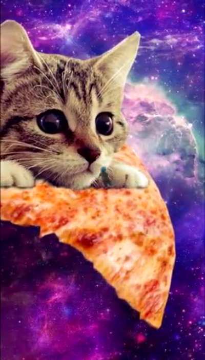 ✨🐱🍕🚶&zwj;♂️🛹🪐✨