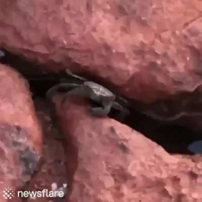 Тобі пизда