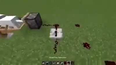 The poor sheep did nothing wrong caw caw
