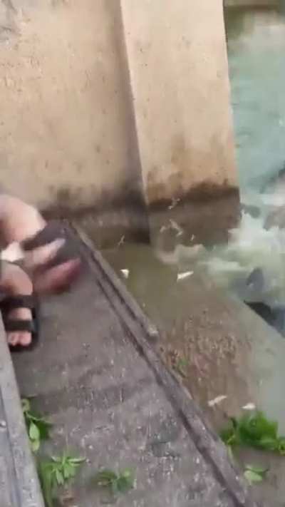 What the fuck is even going on here