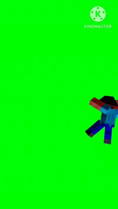 Steve really knows how to conga.