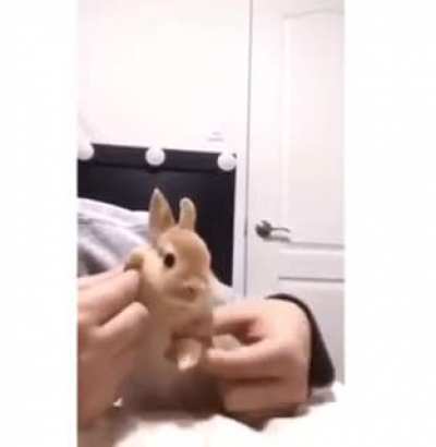 the good ending
