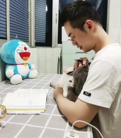 A cat’s love and affection