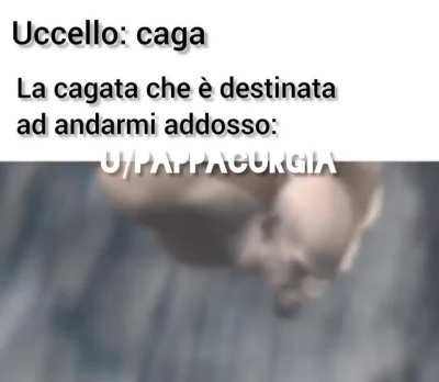 lo so &egrave; gi&agrave; il secondo oggi
