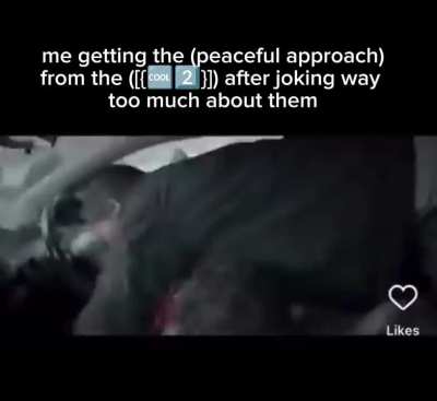🇮🇹