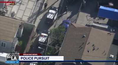 Jean Paul juking the entire PD