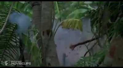 When me and the boys see some birds around the trees, thinking it&rsquo;s a squad