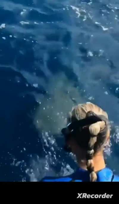 To dive 