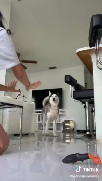 I know your tricks human