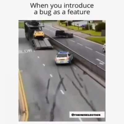 When developer introduce a bug as a "Feature"