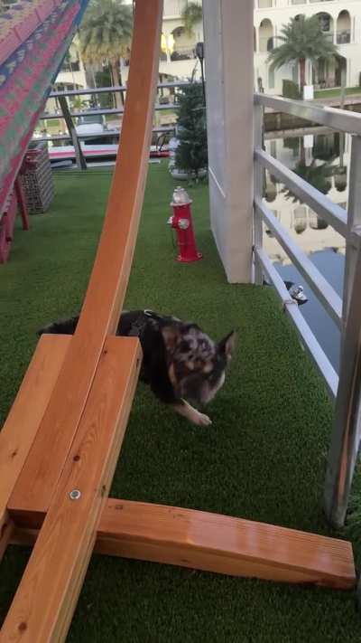 Normally this kind of thing would not alarm me. But he literally will do this for 20, 30 maybe even 40 minutes straight. Should I be concerned?