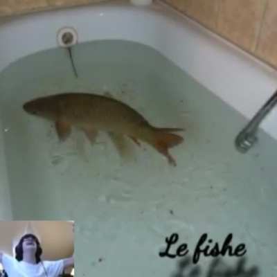 Fishe speedrun 2021