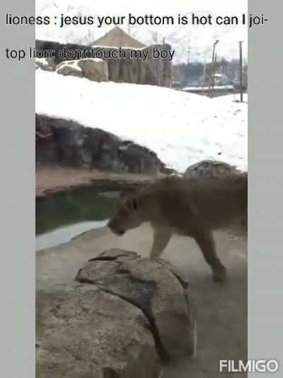 dont touch my boy