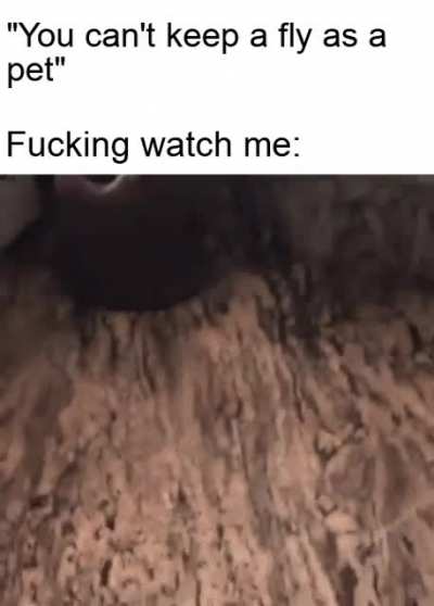 They&rsquo;re just jealous