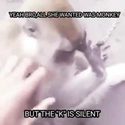 don't make monke sad gold diggers