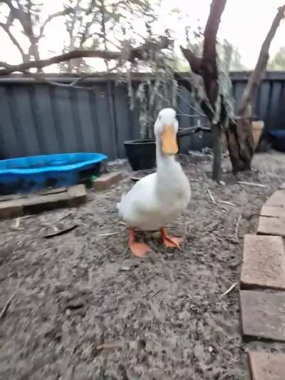 Brutal attack