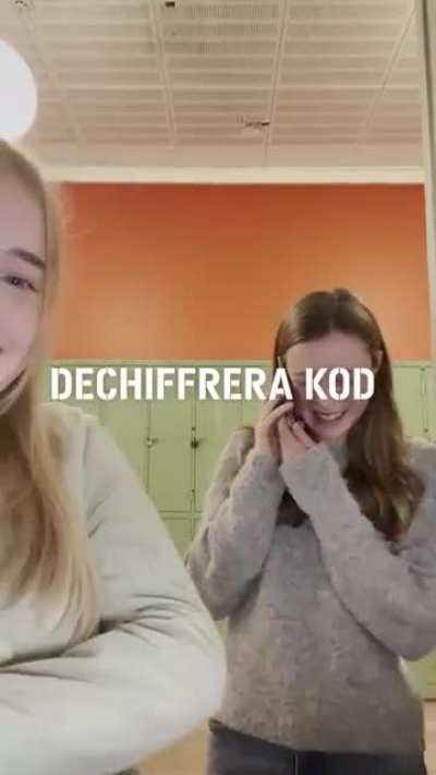jag ville bara dela med mig av denna reklamfilmen producerad av f&ouml;rsvarsmakten. Skibidi sigma 🫡