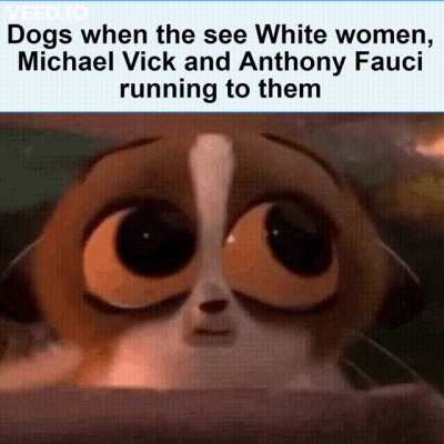 Famous people and dogs are never a good mix