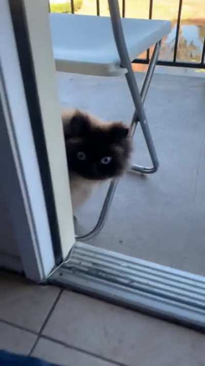 He almost thought he was stuck outside