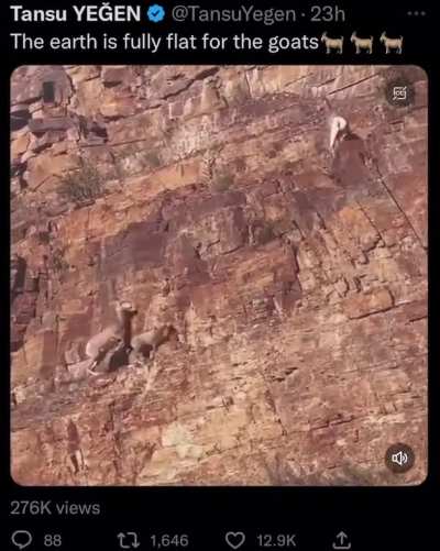🐐
