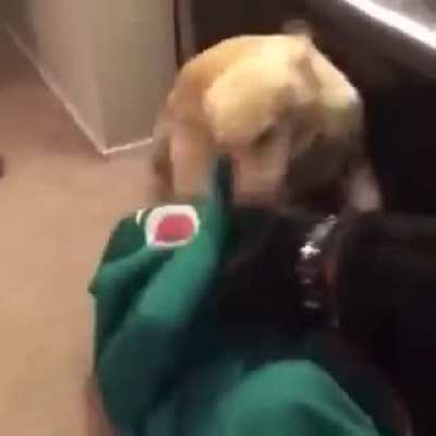 LoCaL dOg bRuTaLlY mUrDeRs iNnOcEnT gReEn mAn