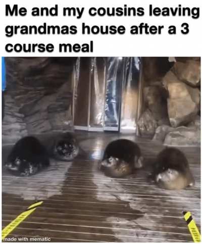 Hehehe 🥰