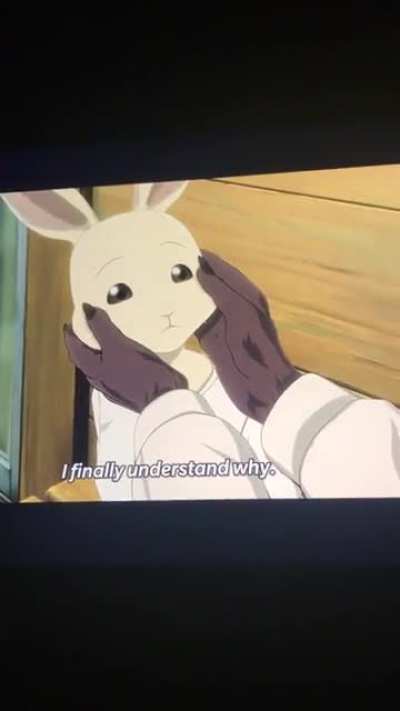 Furry anime&rsquo;s are weird